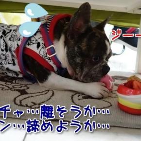 ”大掃除”じゃなくて“小掃除”で済ます…