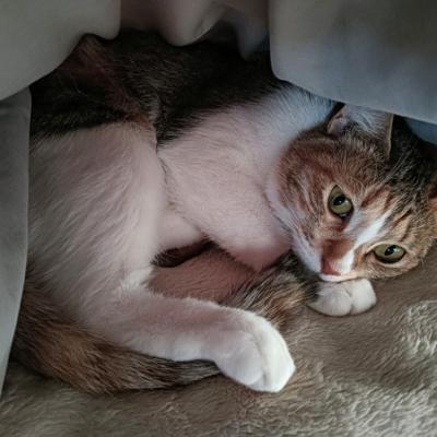 年末の記録など