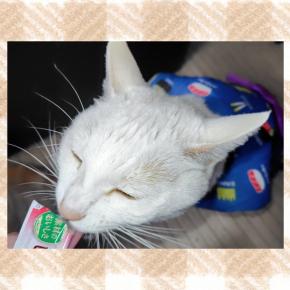 今年もありがとうございました(◍•ᴗ•◍)✧*。