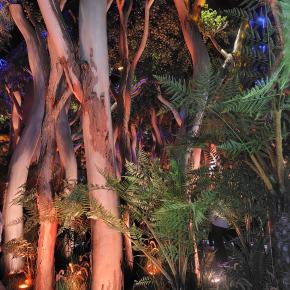 万博経験談(0才児と共に)その2