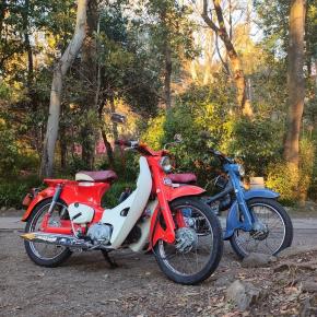 キャブとマフラー