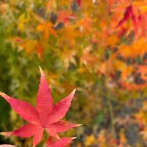 持ち家か賃貸か…友人の“住み替え”を聞いて考えたこと