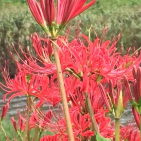 二百二十日と秋の気配