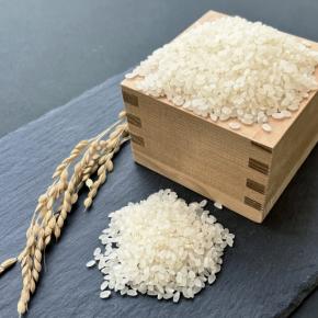 世帯年収700万円:お米3499円／5kgまで下がってる