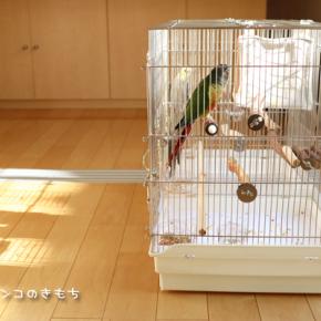 可愛いがいっぱい♪