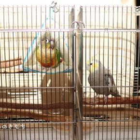 今年も残すところ20日