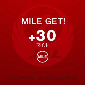 12月24日の食事（朝、昼、晩）と運動量、記録の必要性