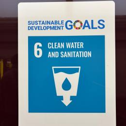 12月31日の食事（朝、昼、晩、おやつ）と運動量、2025年の総運動量