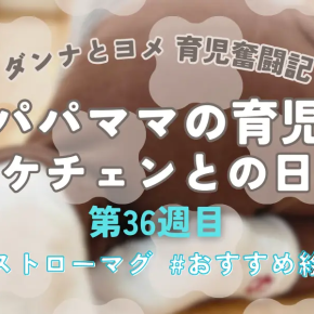 【育児奮闘記】新米パパ・ママの育児日記｜エケチェンとの日々【第36週目】