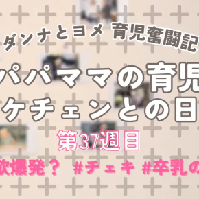 【育児奮闘記】新米パパ・ママの育児日記｜エケチェンとの日々【第37週目】