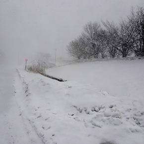 楽な生き方はないものか