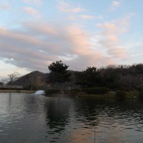 2025年の釣納めに行ってきました。皆様、良い年をお迎えください！！