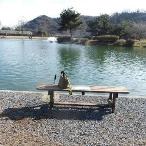 秋川湖(今シーズン15回目:2025年46回目・釣納め)に行ってきました！