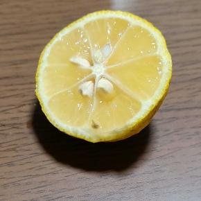 忙しい年の瀬こそ、ビタミンが必要✨