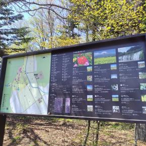 山中湖花の都公園