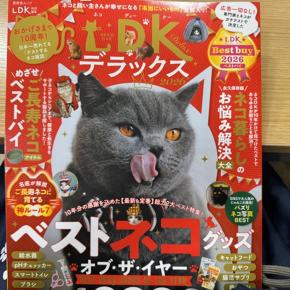 猫好きさんへおススメの本📚