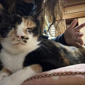 今年の不安、今年の内に