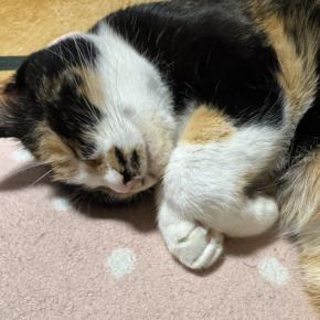 年末年始休暇入り💞