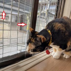 2025年・年の瀬のご挨拶