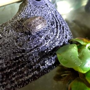 3月9日・11日・12日