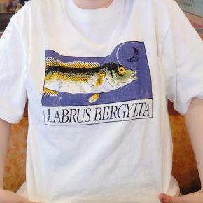 6月9日・10日・11日・12日・13日・14日