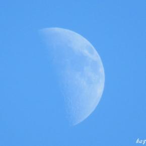 上弦の月