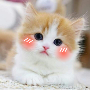 2025年12月販売の備忘録📝 28日目☆