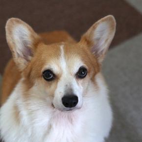 2025年もありがとう