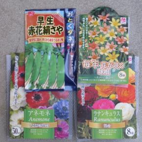 お彼岸前 ホムセンでの野菜苗＊種＊+球根