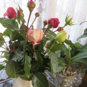 ☆最後のバラの蕾＆庭物で玄関正月花