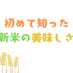 40歳で知った、新米の美味しさ