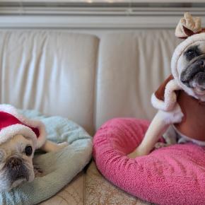 2025サンタが我が家にいます！クリスマスオードブル弁当（笑）