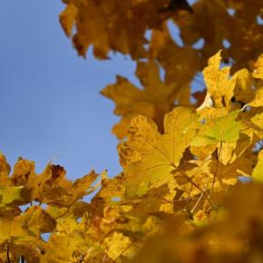 1日じゅうずっとPDF保存マシン