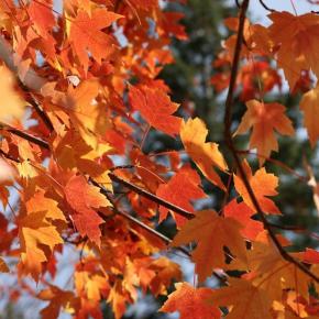 文字を速く上手に書ける人になりたい