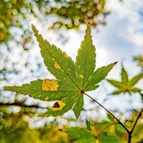 情報デザイン 第10回 ［展開］研究のための情報デザイン