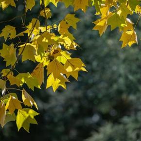 2万9000件のデータと格闘