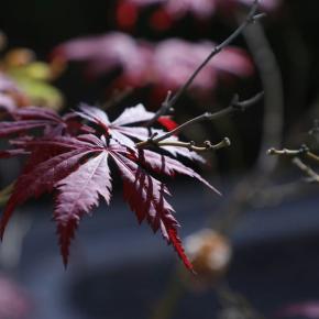 自主的在宅勤務1日目