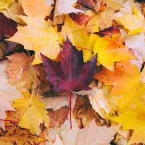 1つの文の最適文字数