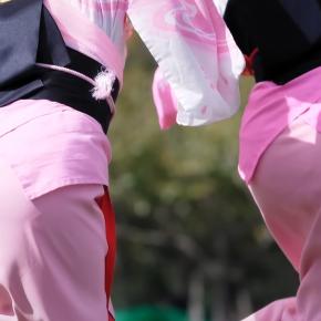 【YouTube】JD阿波踊りの腰回りと浮き上がるパン線動画