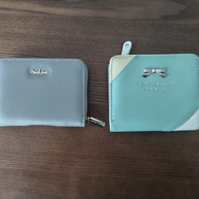 TOPIX信じてたよ 小6女子の財布