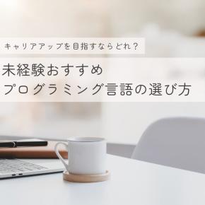 未経験おすすめプログラミング言語の選び方。キャリアアップを目指すならどれ？