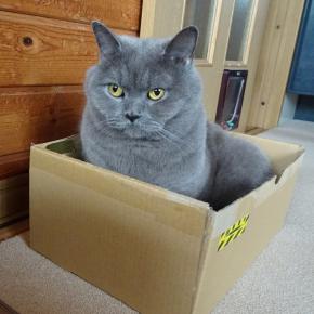 反転してました。