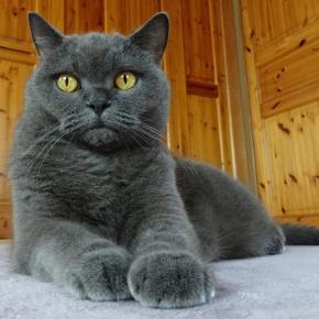 上手くいかないダイエット。