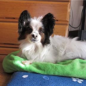 令和7年始まりましたね