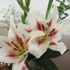 反省の色なし！