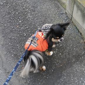 今年の目標は？