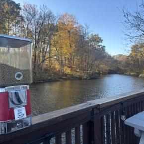 予防接種を受けた