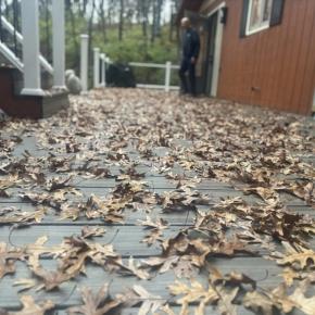 食料支援も再開