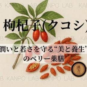 🍒枸杞子（くこし）｜潤いと若さを守る“美と養生”のベリー薬膳