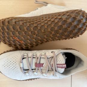 明日からこのスニーカーを履こう